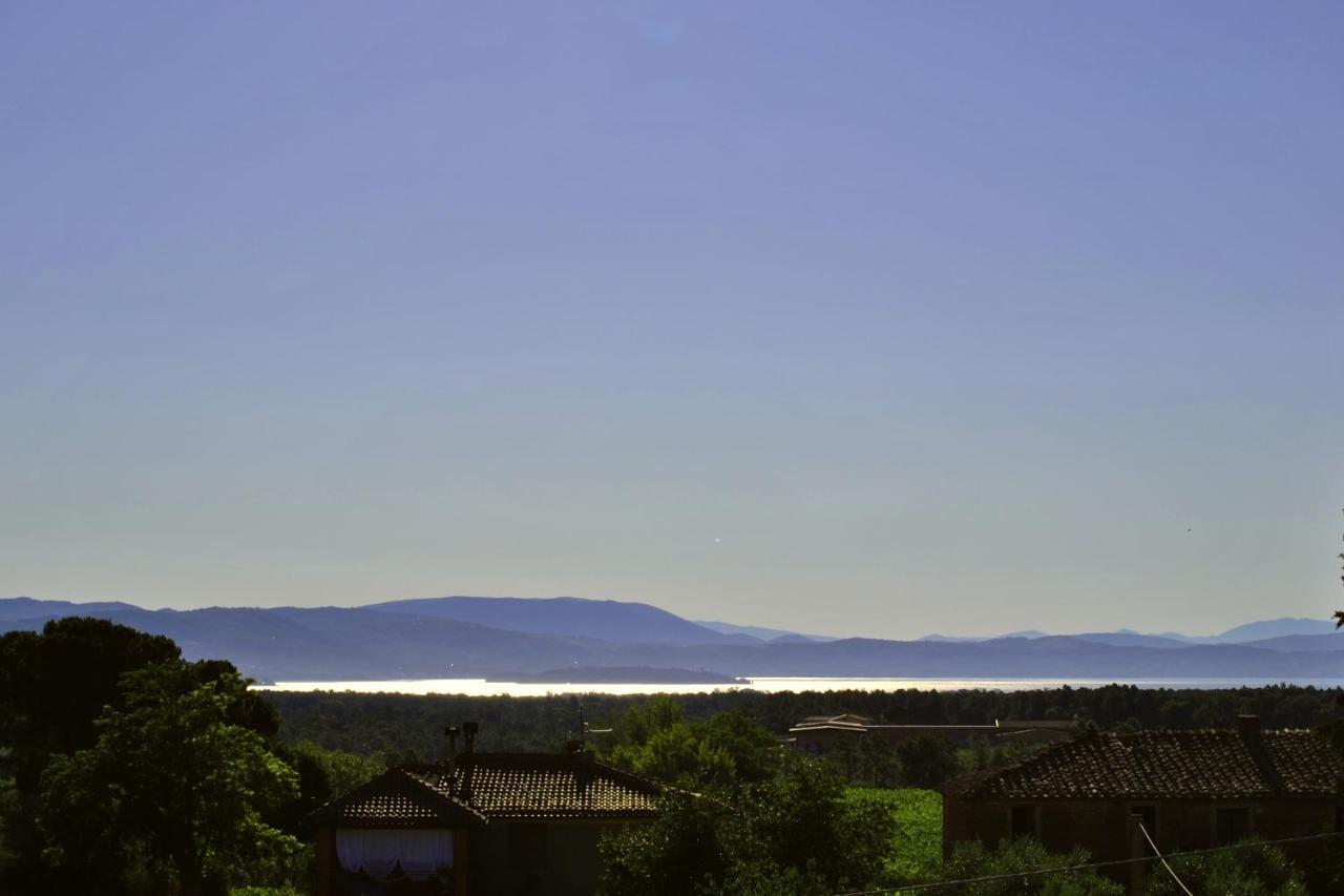 Villa La Valiana - Full Estate In Montepulciano - Heated Pool 발리아노 외부 사진