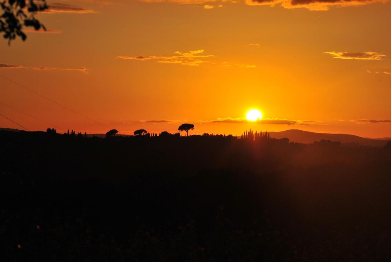 Villa La Valiana - Full Estate In Montepulciano - Heated Pool 발리아노 외부 사진